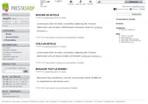 prestashop_wordpress_4-300x212.jpg