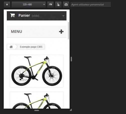 Pourquoi je mets les images à gauche ? Parce que sur mobile, le bloc de gauche a la priorité. Le client verra donc en premier les images sur un mobile au lieu du pavé de texte. Notez que la mise en page s'est bien ajustée automatiquement.