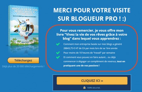 Vivre la vie de ses rêves... ça tient dans un livre et oui !