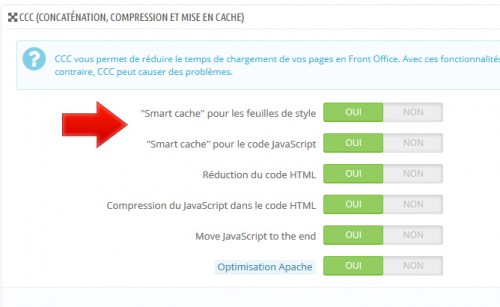 Une option simple à activer et qui fait gagner de la vitesse à votre boutique (+ économie de bande passante).