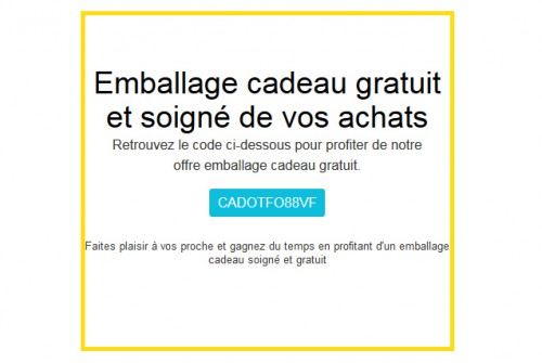 Chez Trusted Shop on recommande de bien mettre en avant l'avantage d'avoir l'emballage offert... On incite même à l'acheteur de saisir un code Promo pour avoir l'emballage offert.