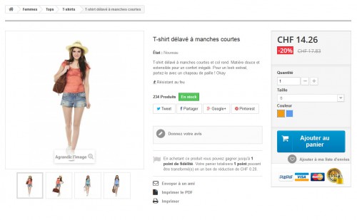 Si vous êtes une boutique de T-shirt, il faudra trouver quelque chose à dire de différent pour chaque produit pour évite le contenu dupliqué (si vous en avez vous serez notifié dans la console Google Webmaster Tools). Sinon vous pouvez aussi ne pas tenir compte du contenu dupliqué et fonctionner uniquement avec un trafic "payant" et jouer sur la conversion... Par contre, cette stratégie n'est pas à recommander sur le long terme pour la pérennité de votre entreprise.