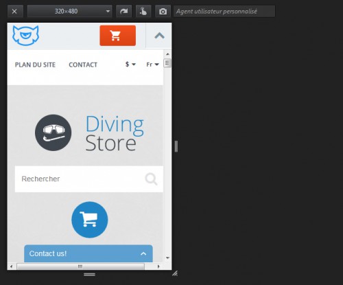 Effectivement le contenu est bien responsive, mais en tant que client si j'arrive sur la page d'accueil d'une boutique et que je vois ça... on peut espérer mieux comme agencement.