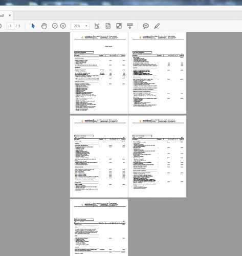 Selon mon expérience, 5 pages c'est pas énorme, mais ça suffit comme niveau de détail pour le client.