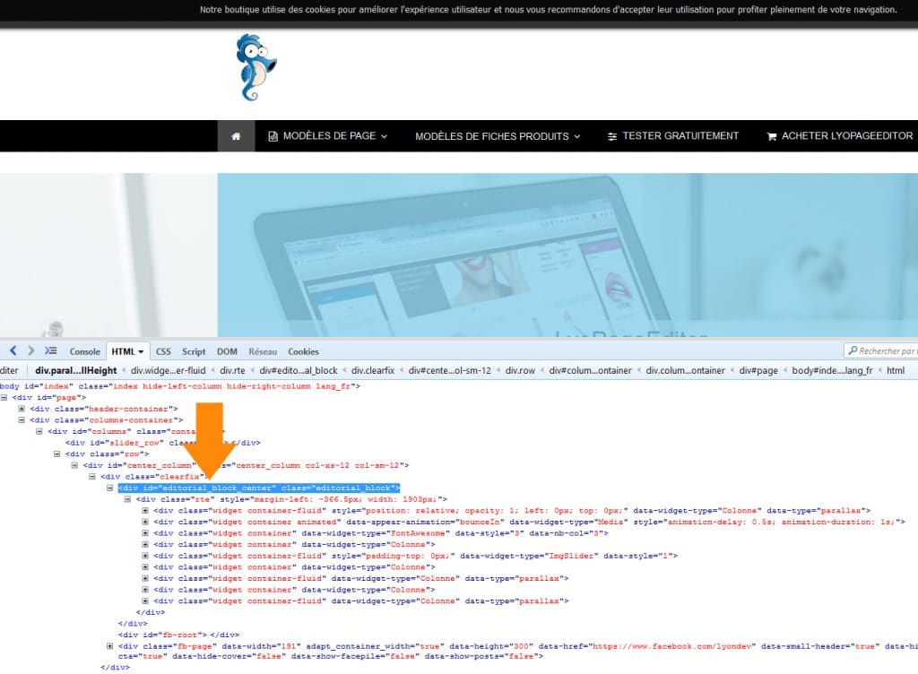 Bloc édtorial Prestashop