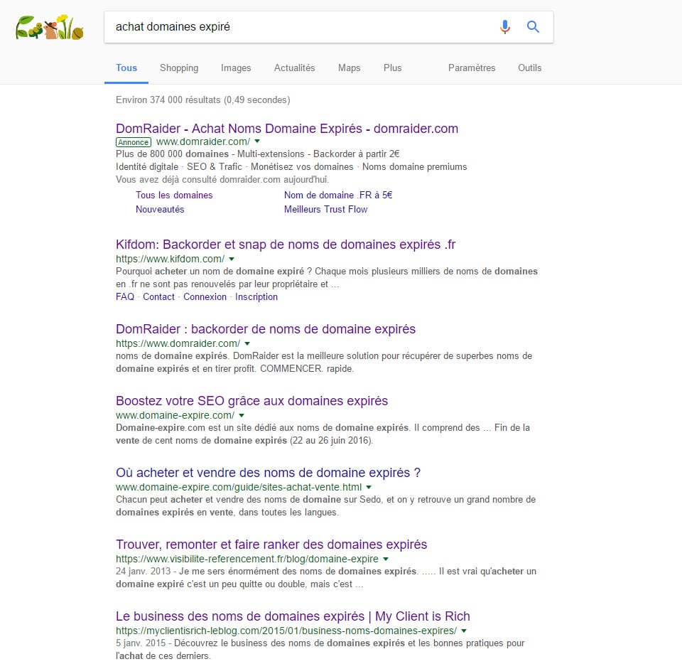 Achat domaines expirés