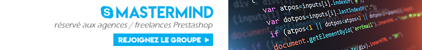 Mastermind professionnel Prestashop Mastermind professionnel Prestashop